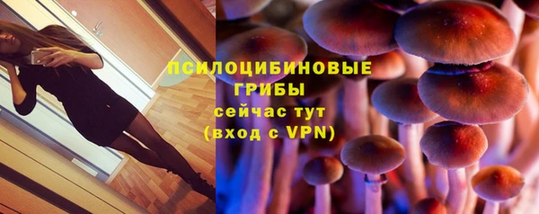 бошки Михайловск