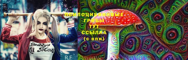 гидропоника Михайловка