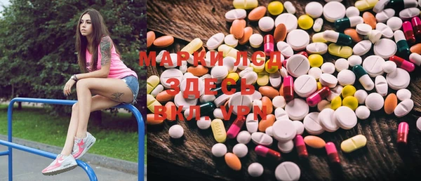 мяу мяу мука Беломорск