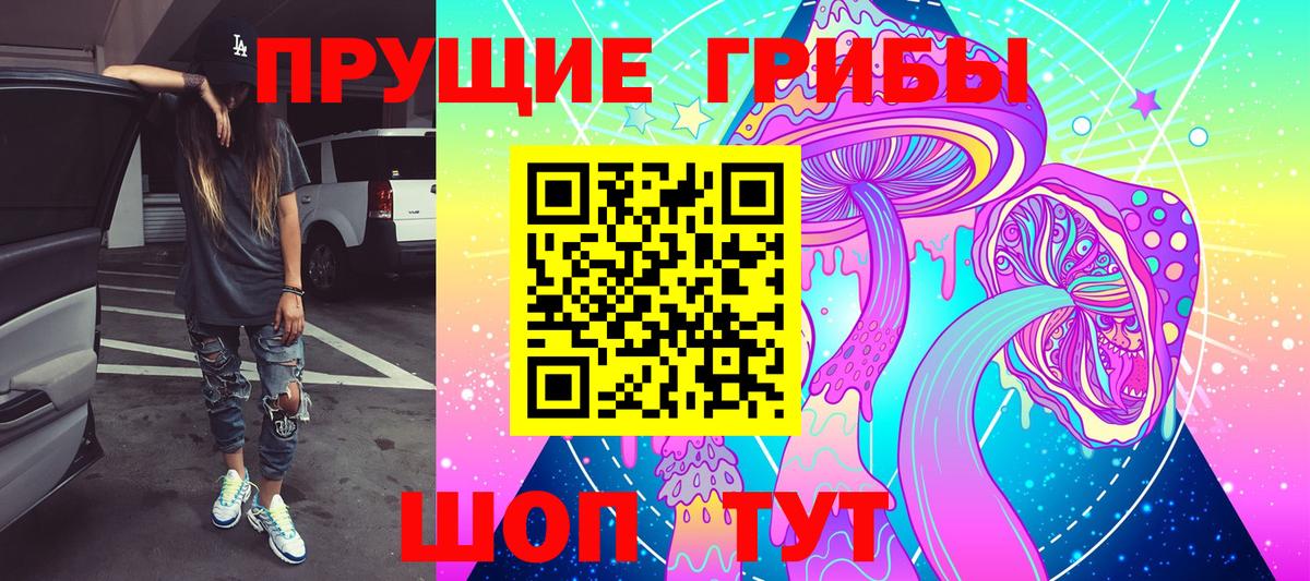 Галлюциногенные грибы Psilocybine cubensis Тайшет