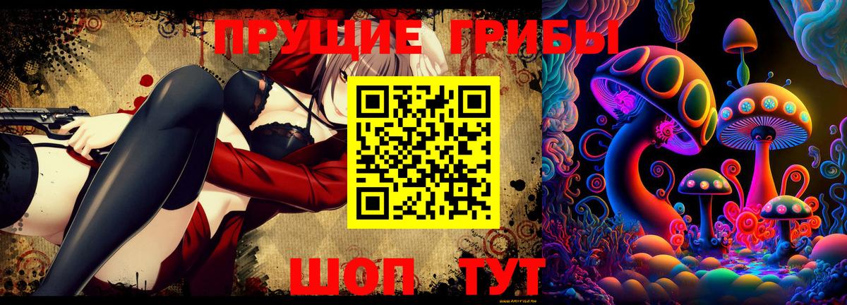 Псилоцибиновые грибы ЛСД  Галлюциногенные грибы GOLDEN TEACHER  Тайшет 