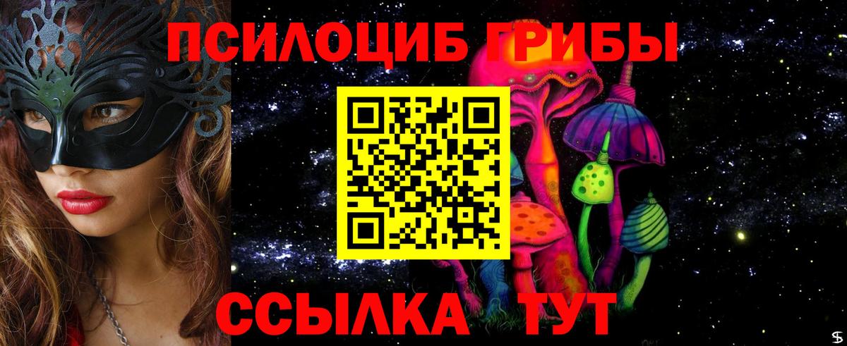 Тайшет  Галлюциногенные грибы мицелий  Вход с VPN 
